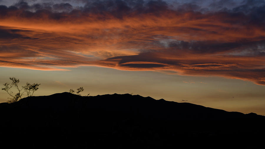 Sunset at Joshua Tree National Park Photograph by Ron Biedenbach