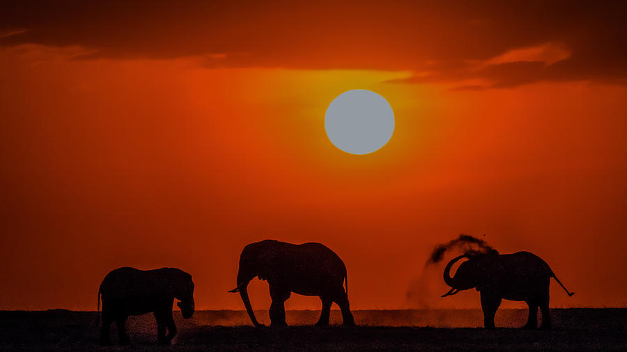Sunset At Kenya Photograph by Zhanhai Zhang