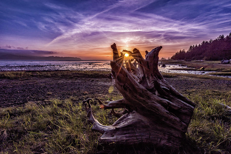 Sunset at Kilchis Point Reserve by Johanna Froese Sunset at Kilchis Point Reserve by Johanna Froese