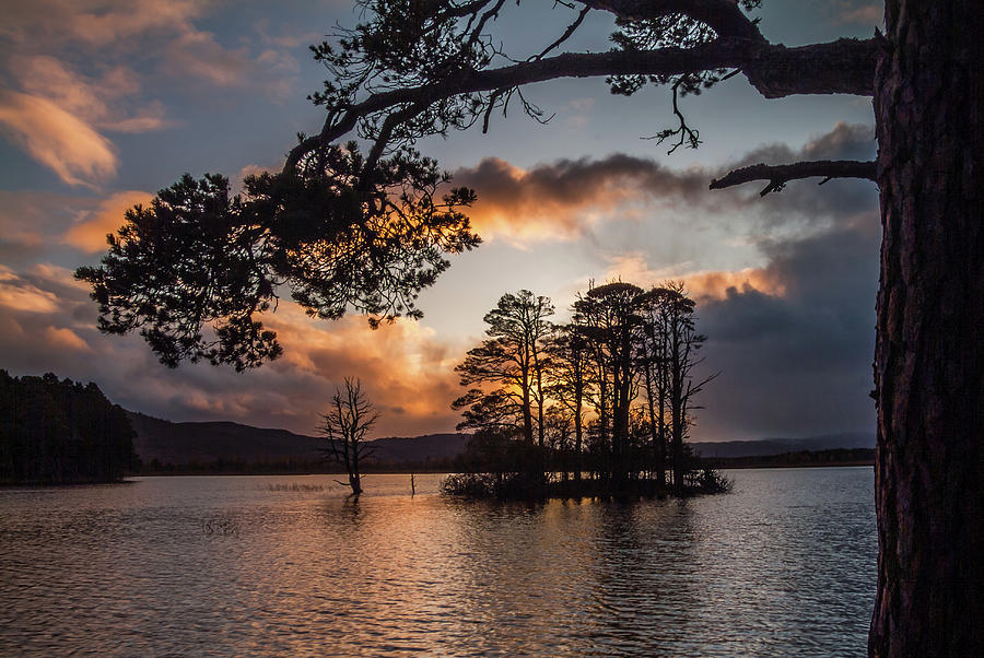 Sunset at Loch Mallachie, Cairngorms Photograph by David Ross
