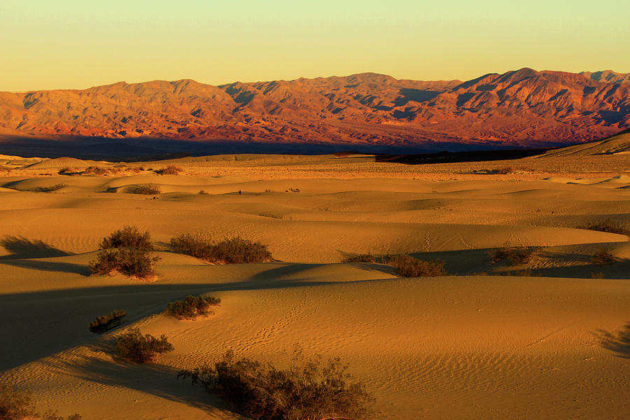 Sunset At Mesquite Dunes Photograph by Kunal Mehra