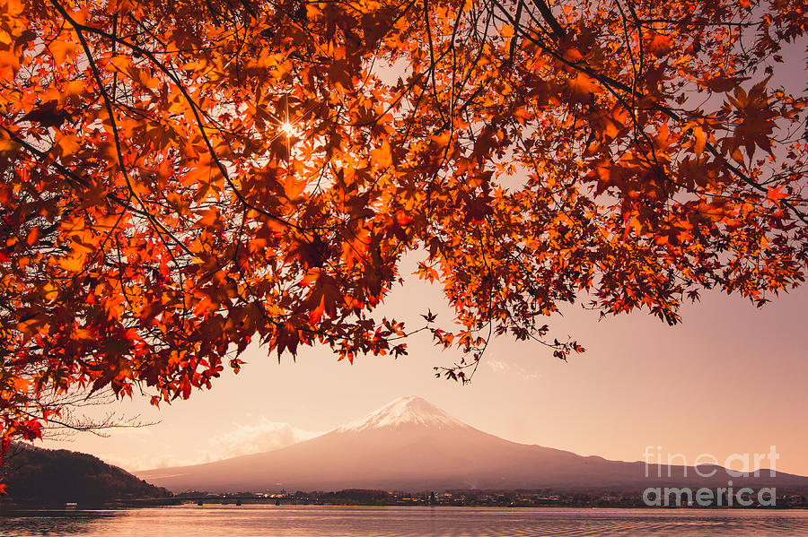 Sunrise Photograph - Sunset At Mountain Fuji And Red Maple by Ommaphat Chotirat Sunrise Photograph - Sunset At Mountain Fuji And Red Maple by Ommaphat Chotirat