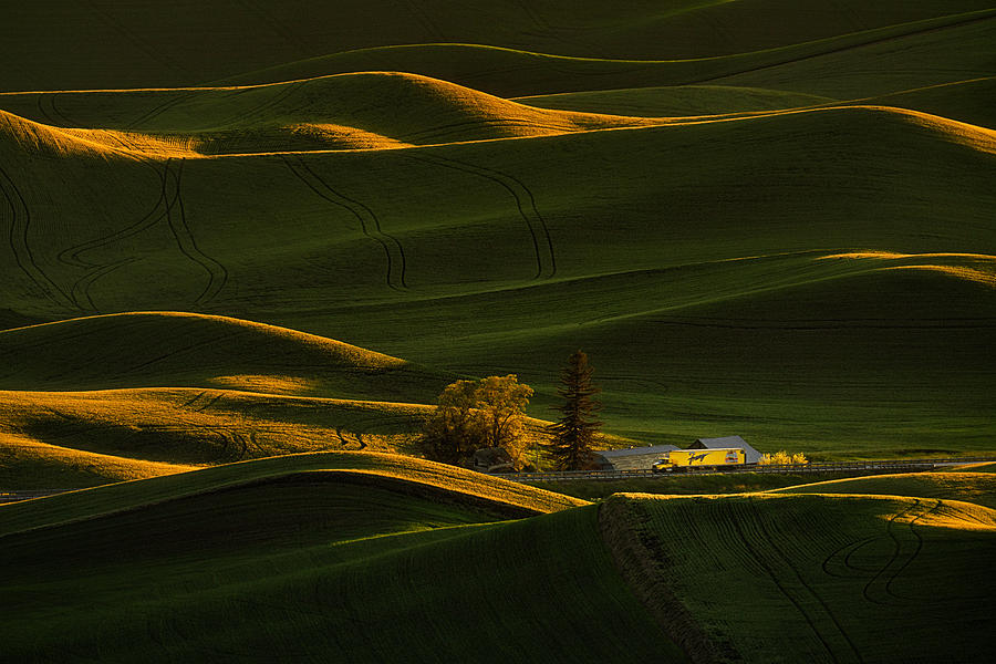 Sunset Photograph - Sunset At Palouse Farmland by Lydia Jacobs