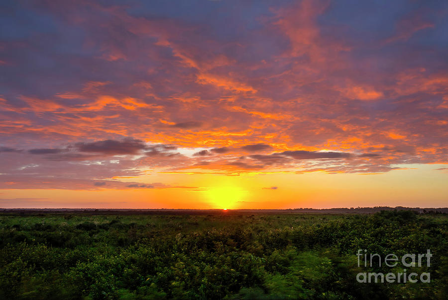 Sunset At Paynes Prairie Preserve State Park, Florida Photograph by Felix Lai
