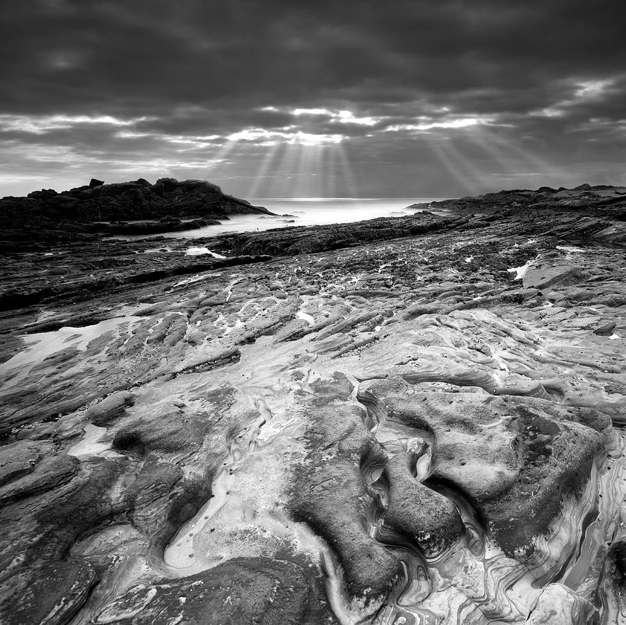 Black And White Photograph - Sunset At Point Lobos by Moises Levy
