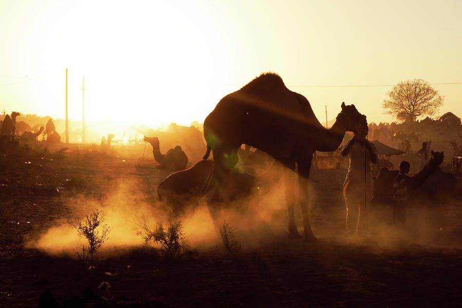 Sunset at Pushkar by Mahesh Balasubramanian Sunset at Pushkar by Mahesh Balasubramanian