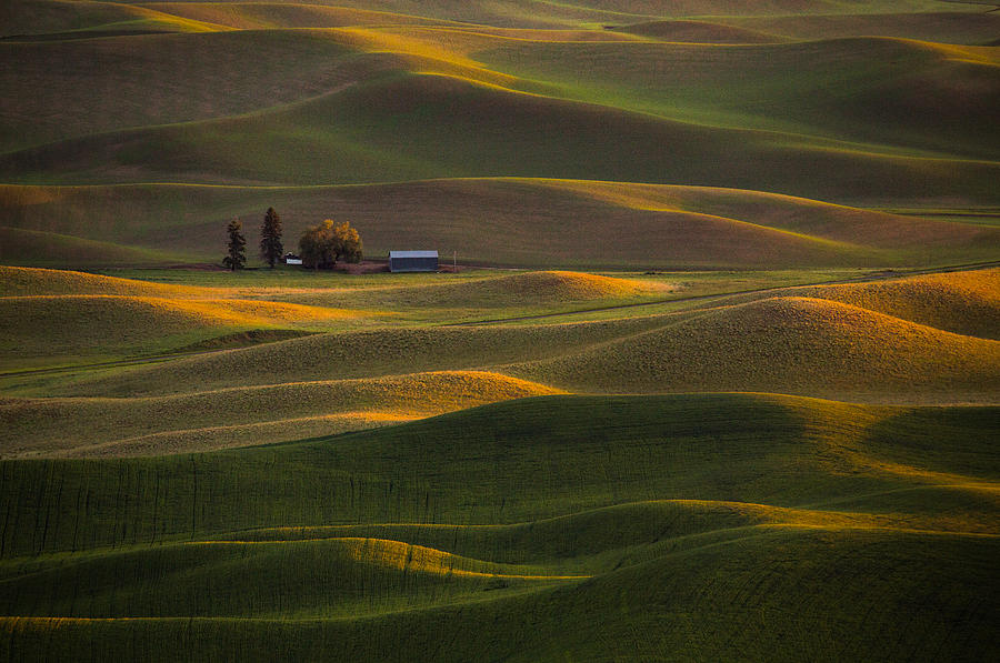 Sunset At Rolling Hills Photograph by April Xie