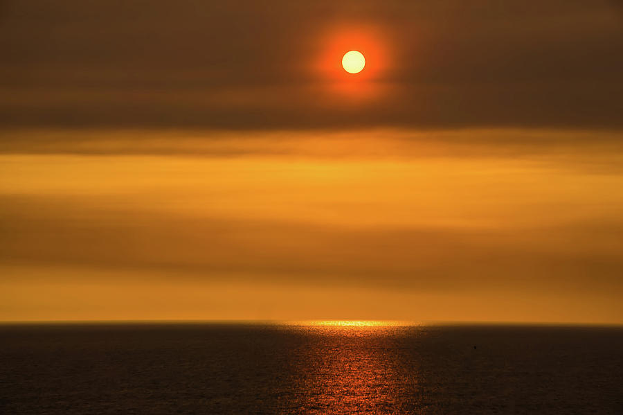 Sunset At Santa Monica Beach And Pier Photograph by Alex Grichenko