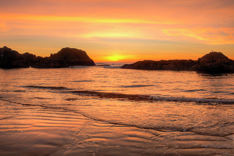 Sunset At Seal Rock 00997 Photograph