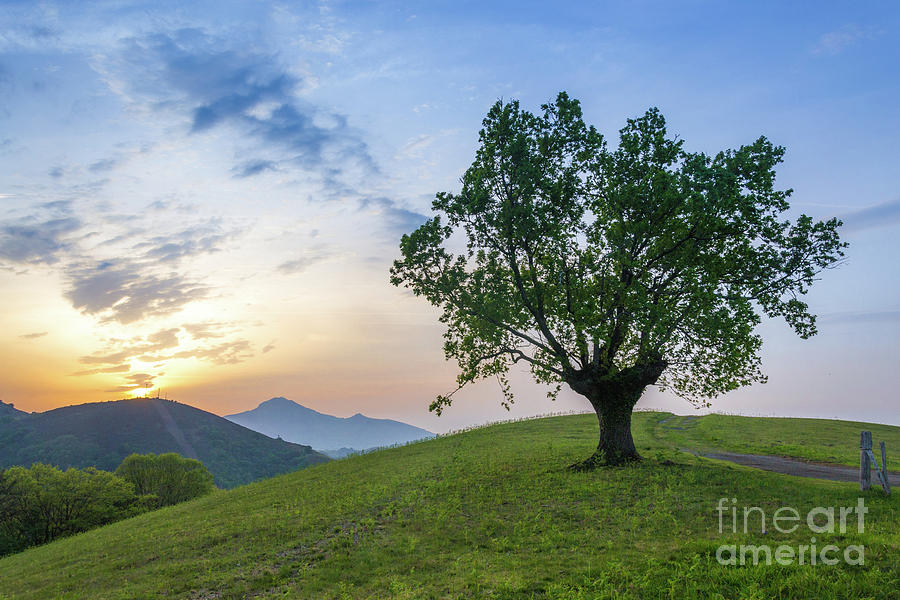 Sunset at the Basque Country by Fine Art On Your Wall Sunset at the Basque Country by Fine Art On Your Wall