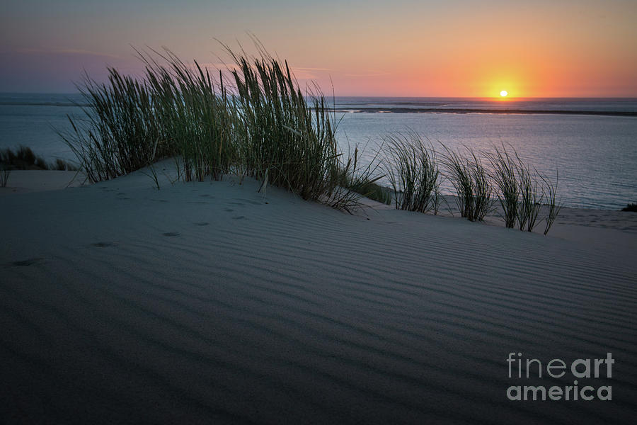 Sunset At The Dunes Photograph by Hannes Cmarits