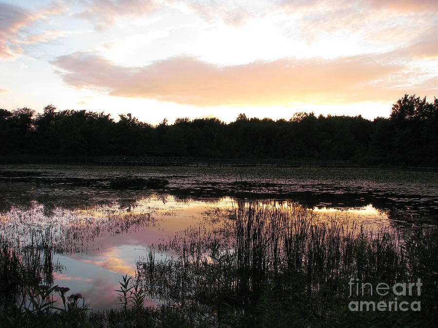 Sunset At The Lily Pond 2 Photograph
