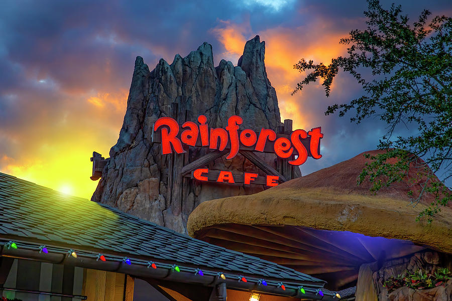 Sunset at the Rainforest Cafe Photograph by Mark Andrew Thomas