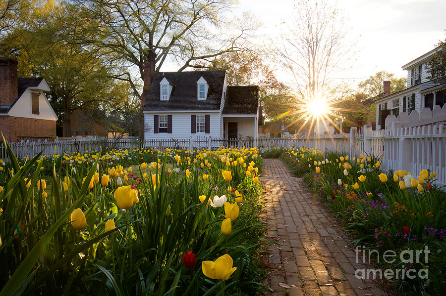 Sunset at the Taliaferro-Cole Garden by Rachel Morrison Sunset at the Taliaferro-Cole Garden by Rachel Morrison