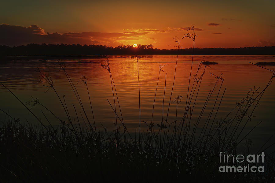 Sunset at Tomoka Basin- 1189 by Marvin Reinhart Sunset at Tomoka Basin- 1189 by Marvin Reinhart