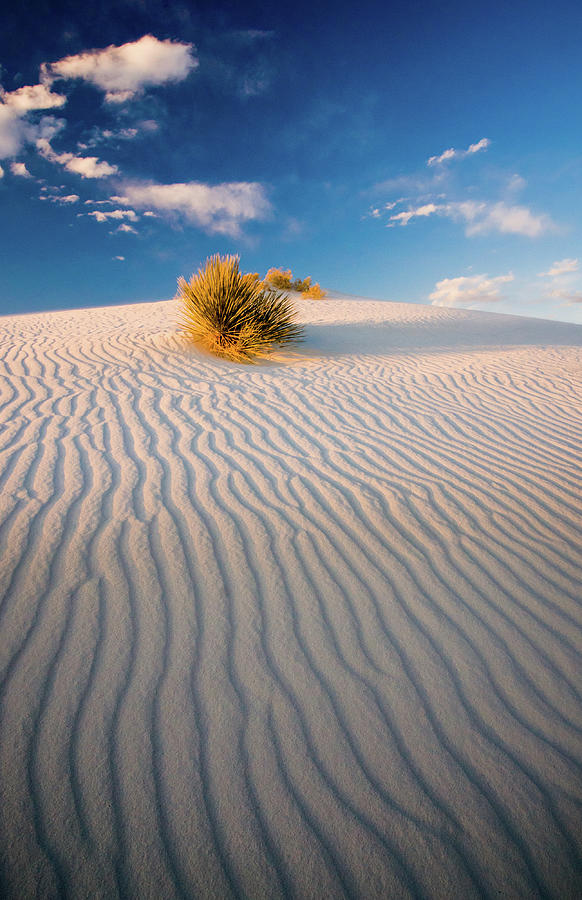Sunset At White Sands National Monument Photograph by By Sathish Jothikumar