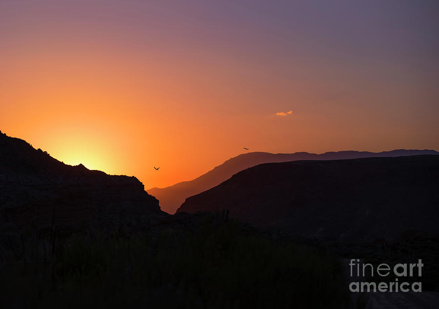 Zion National Park Photograph - Sunset at Zion by Diane Diederich
