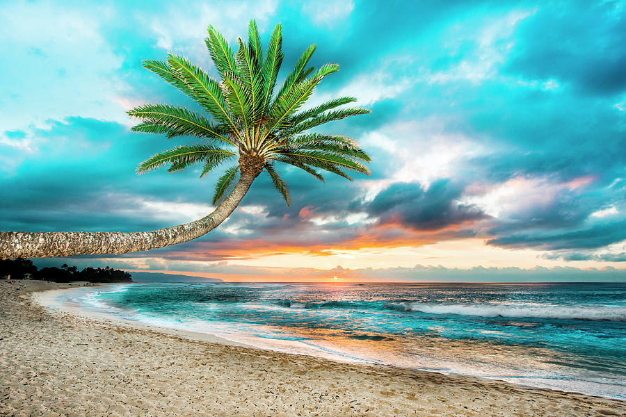 Sunset Beach Hawaii Signed by Leonardo Dale Sunset Beach Hawaii Signed by Leonardo Dale