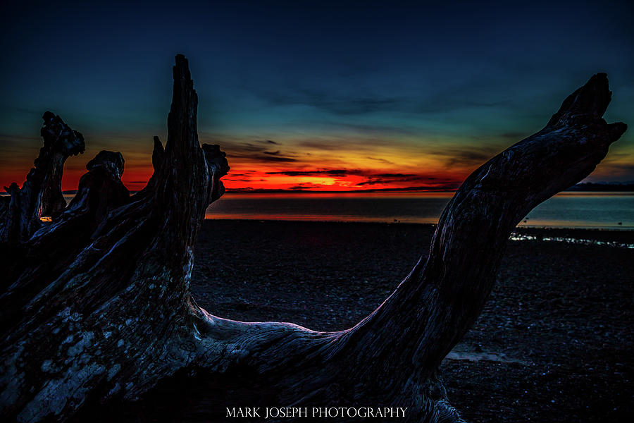 Sunset Between the Branches Photograph by Mark Joseph