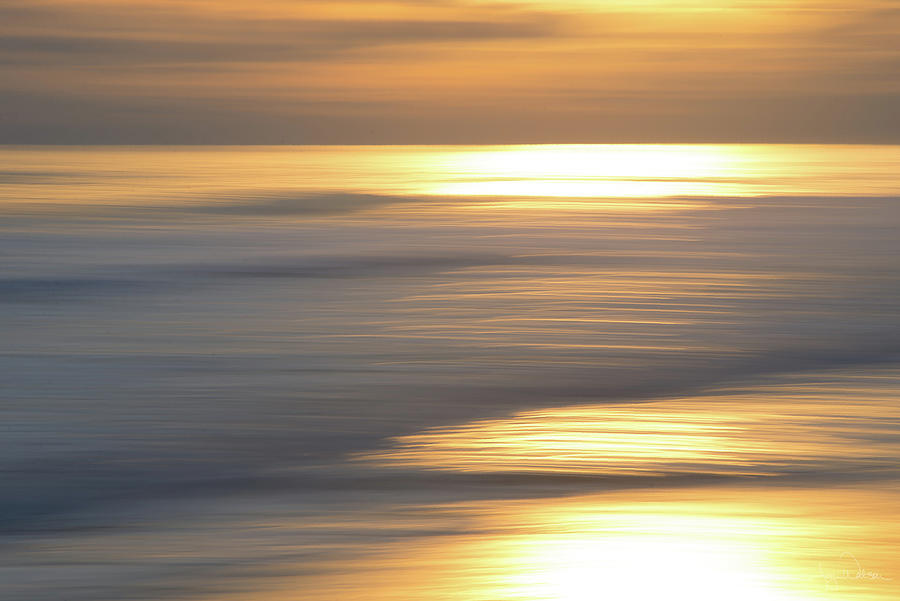 Sunset Blur Photograph by Joy Watson | Fine Art America