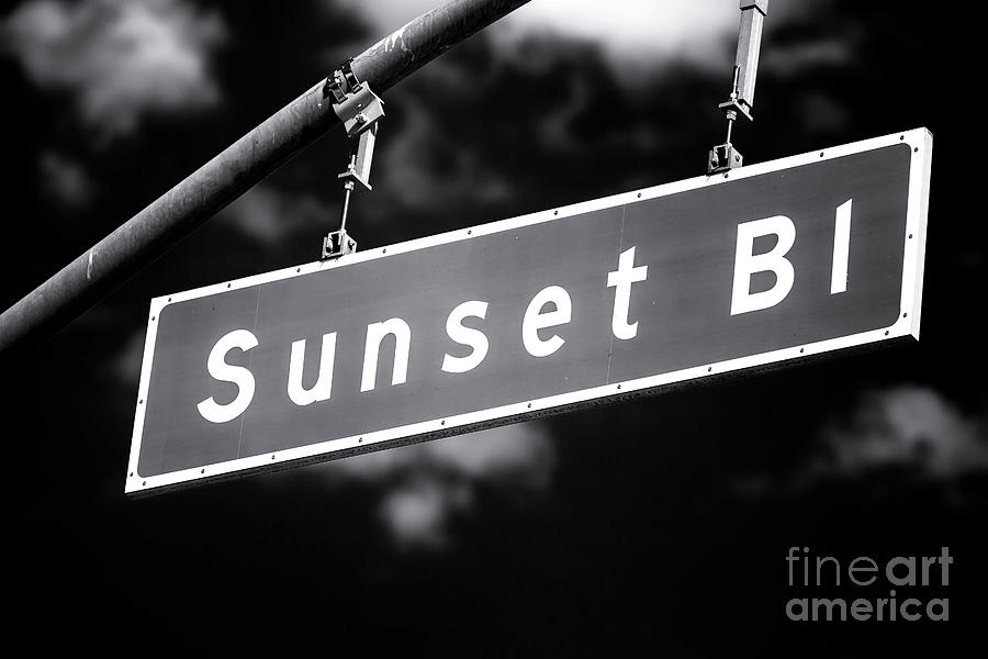 Sunset Boulevard Noir in Hollywood Photograph by John Rizzuto