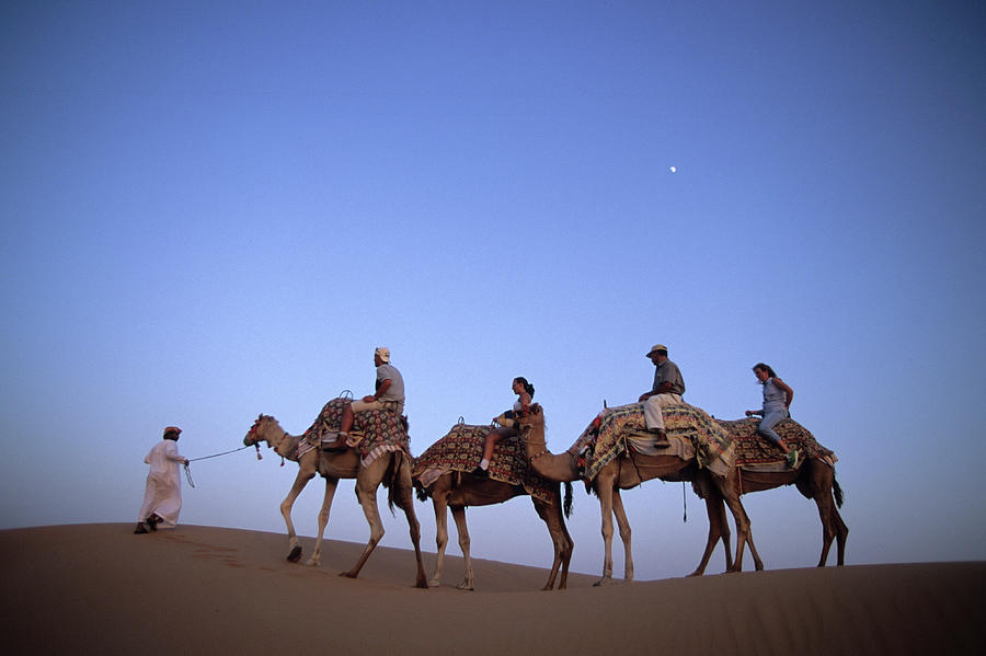 Sunset Camel Ride, Al Maha Desert Photograph by Holger  Leue
