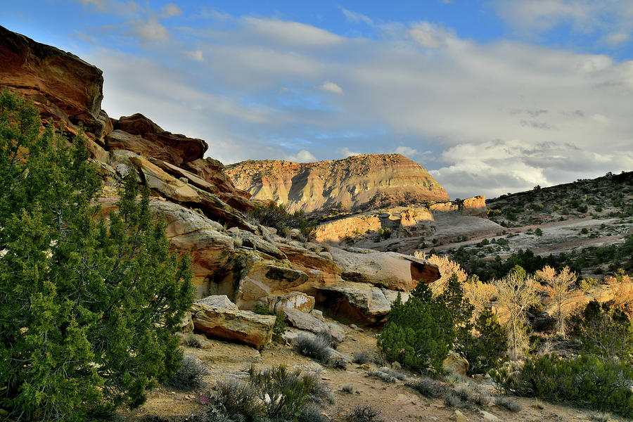 Sunset Coming to East Side of Colorado National Monumentr Photograph by Ray Mathis
