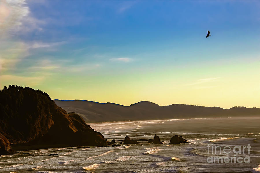 Sunset Eagle Photograph by Jon Burch Photography