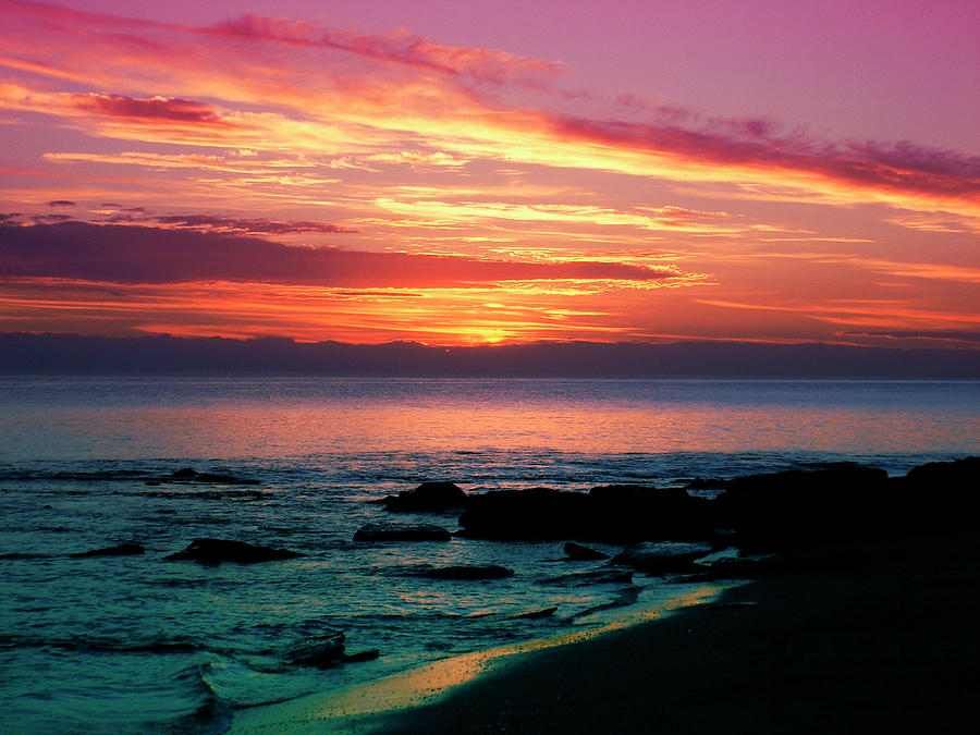 Sunset Mixed Media - Sunset by Fernando Palma