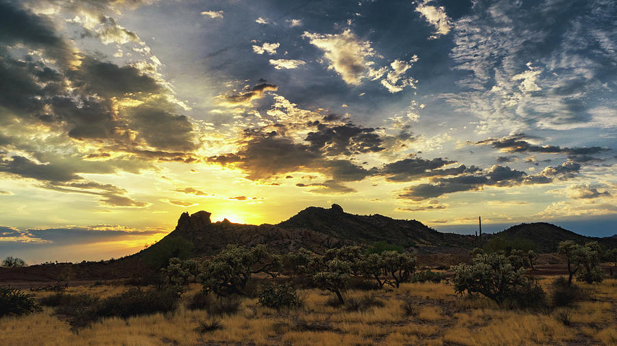 Saguaro Sunset Photograph - Sunset Filled Skies by Saija Lehtonen Saguaro Sunset Photograph - Sunset Filled Skies by Saija Lehtonen