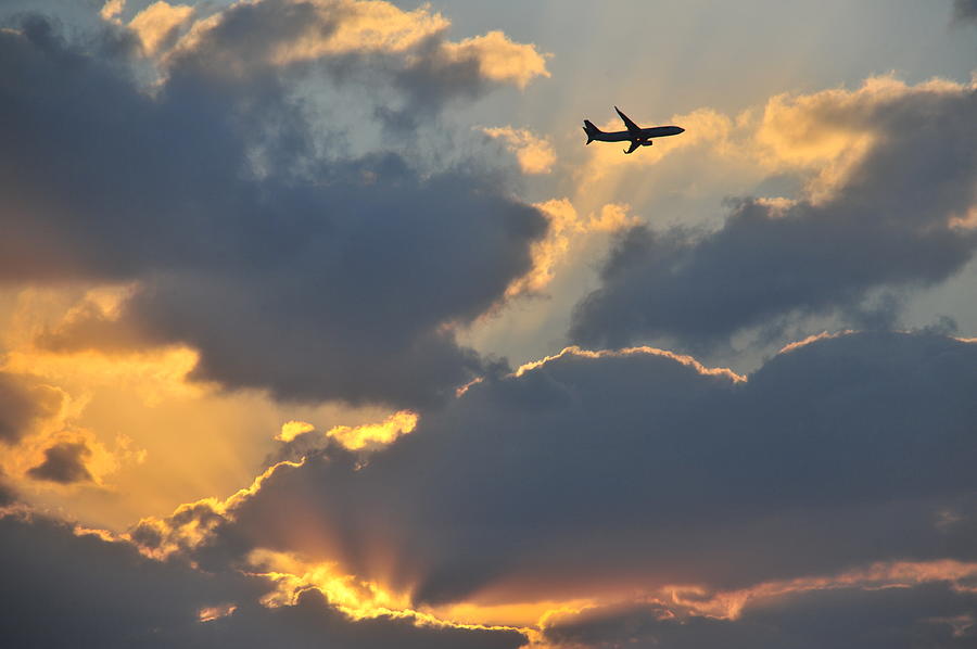 Sunset Flight Photograph by Taro Hama @ E-kamakura