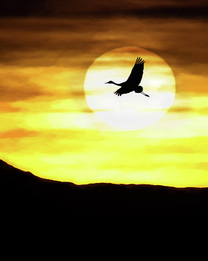 Bird Photograph - Sunset Flyway by Scott Bourne