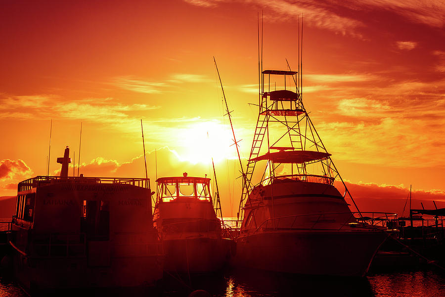 Boat Photograph - Sunset Glow by Ann Skelton