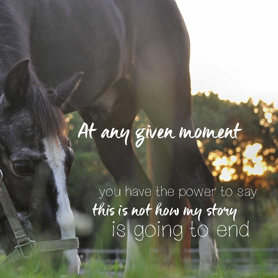 Sunset Grazing Quote Photograph