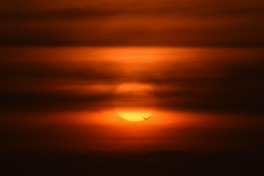 Sunset Hues Photograph by Avinash Singh