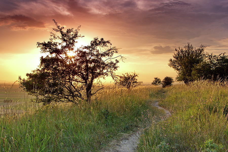 Sunset idyll by Ren Kuljovska Sunset idyll by Ren Kuljovska