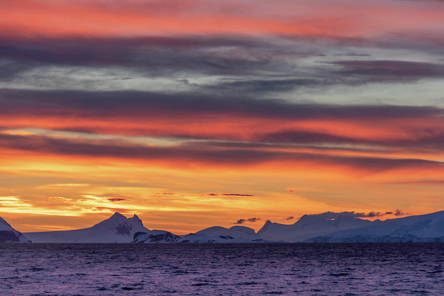 sunset-in-antarctica-photograph-by-barrie-hunt-fine-art-america