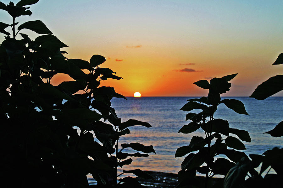 Sunset in Barbados Photograph by Richard Krebs