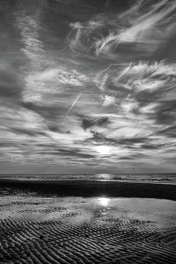 Sunset in black and white Photograph by Ana Luiza Cortez - Fine Art America