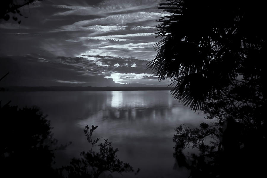 Sunset In Black And White Photograph by Tom Singleton