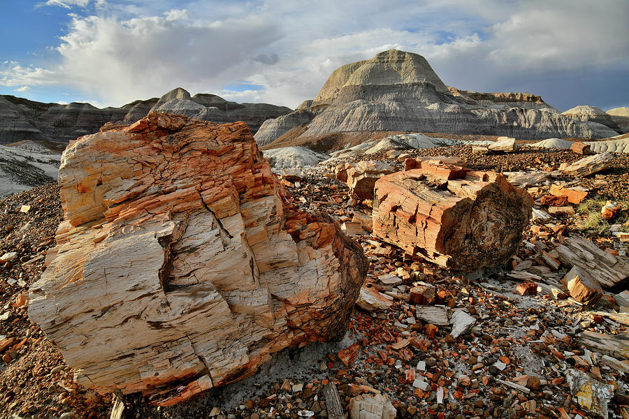 Sunset in Blue Mesa Basin in Petrified Forest Photograph by Ray Mathis