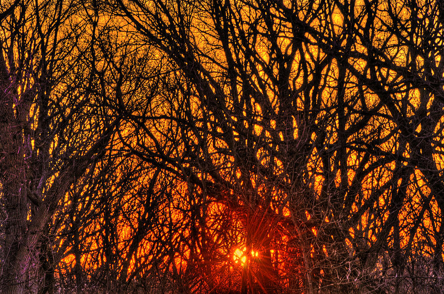 Sunset in Early Spring by Don Wolf Sunset in Early Spring by Don Wolf