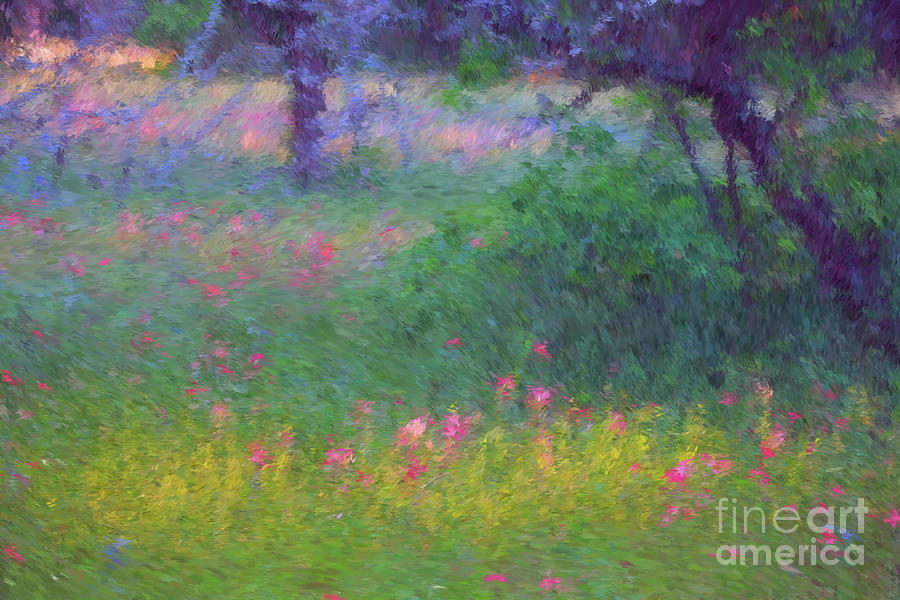 Sunset in Flower Meadow Digital Art by Sharon Beth