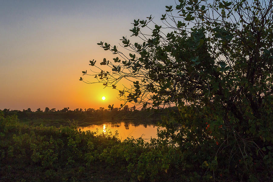 Sunset in India Photograph by Amy Sorvillo