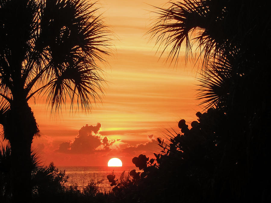 Sunset In Paradise Photograph By David Choate Fine Art America