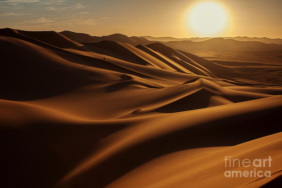 Heat Photograph - Sunset In Sahara Desert by Anna Gibiskys