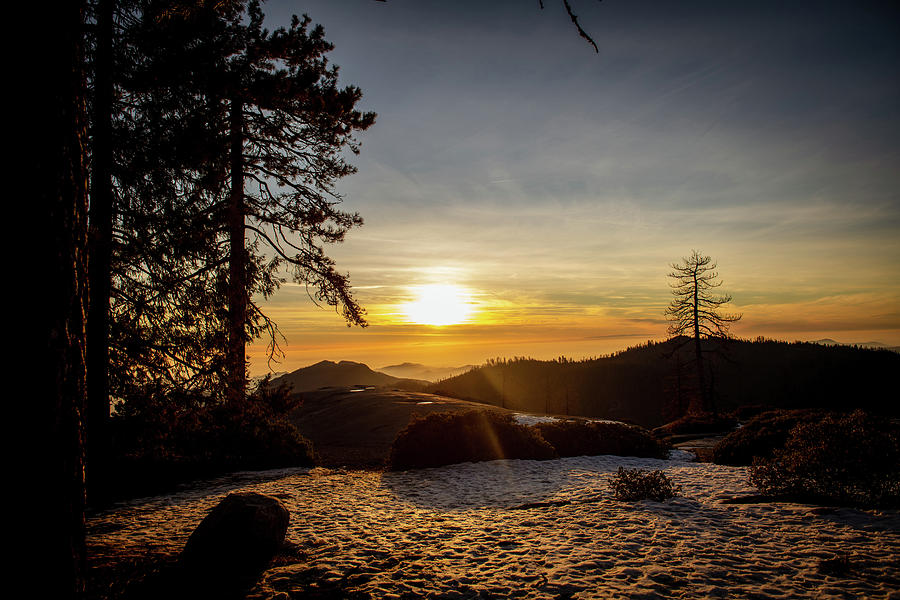 Sunset in Sequoia Photograph by Aileen Savage