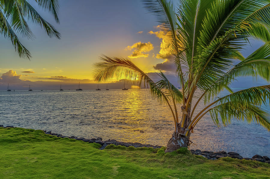 Sunset in Tahiti French Polynesia Photograph by Scott McGuire