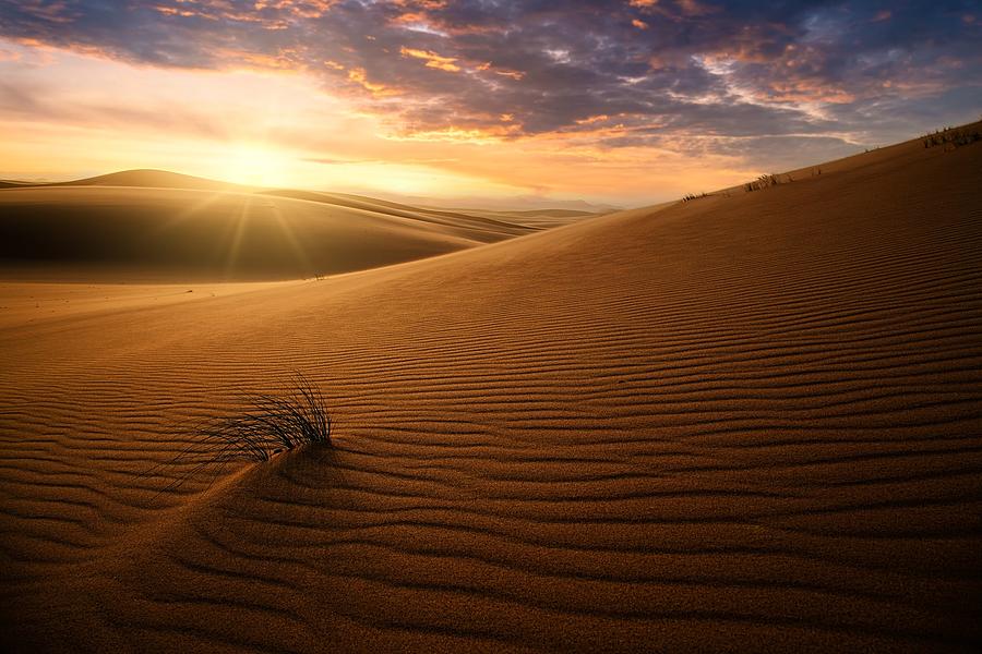 Sunset Photograph - Sunset In The Arab Sands by Saleem G Alfidi