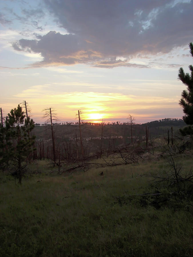 Sunset in the Black Hills Photograph by Cathy Anderson